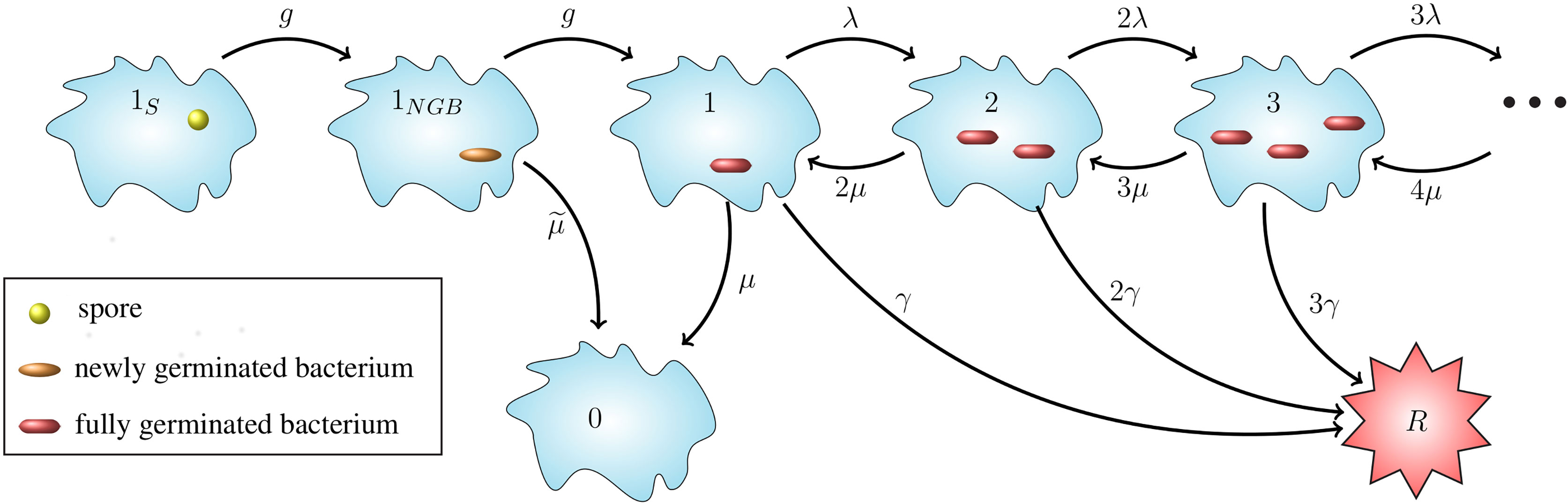 Multiscale modelling